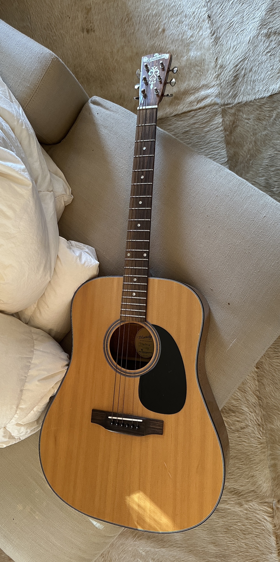 Blueridge Acoustic Guitar
