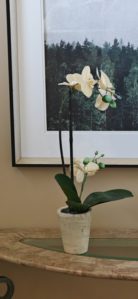 Artificial Orchid in Pot