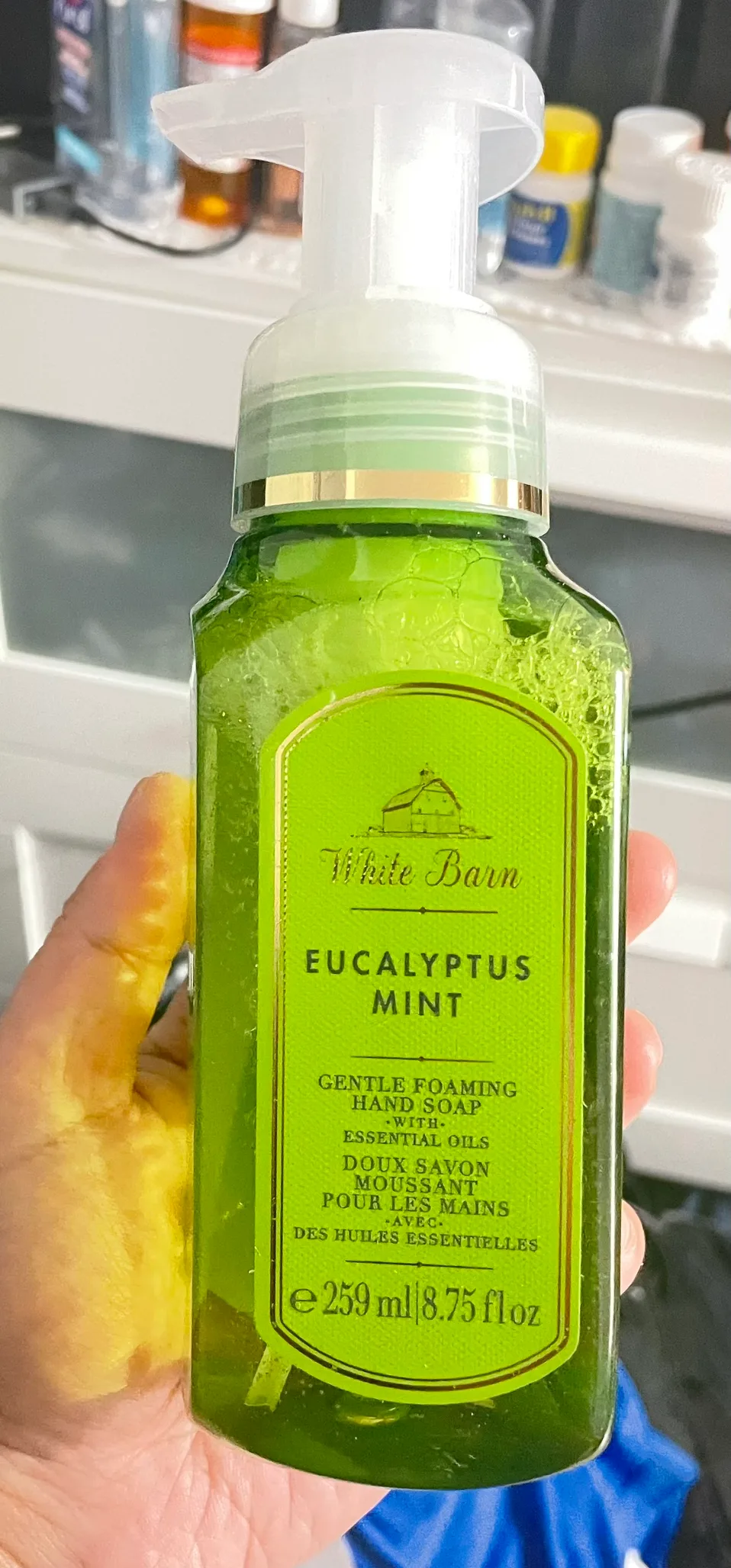 White Barn Eucalyptus Mint Foaming Hand Soap thumbnail