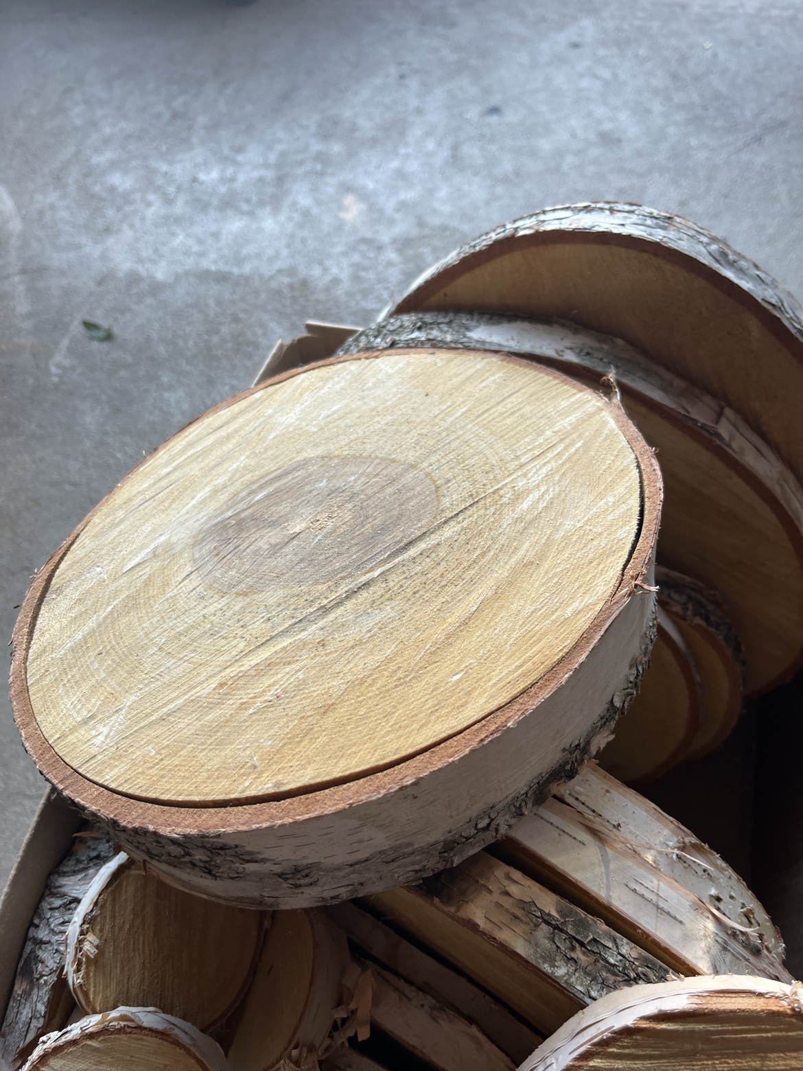 Birch Wood Rounds - photo 3