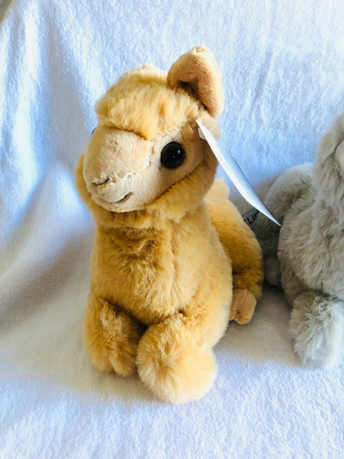 Telus Miniature Plush Toys 🧸 image indicator(2)