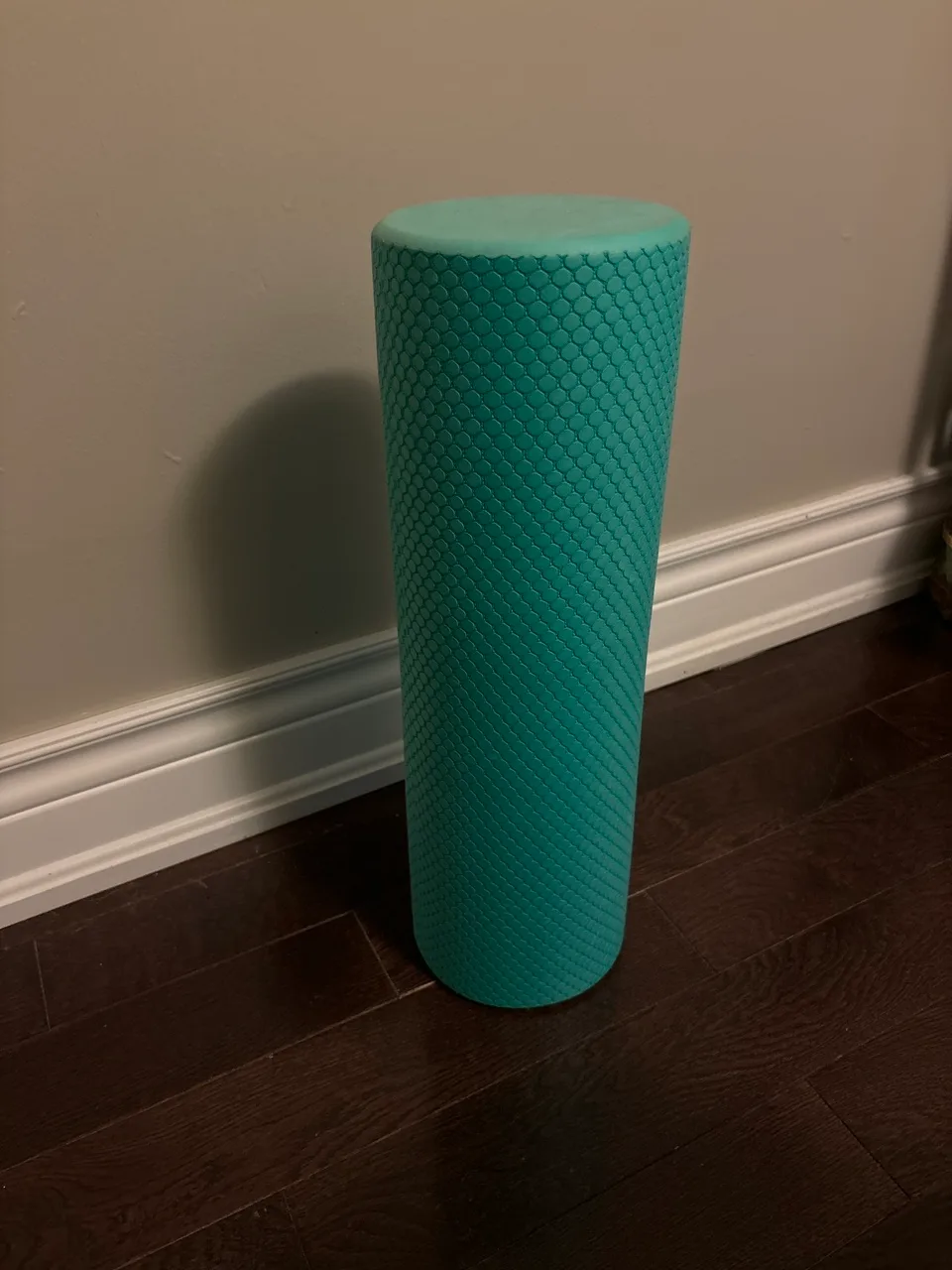 Foam Roller 18.5” thumbnail