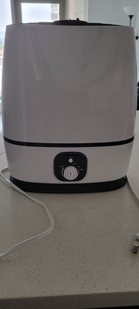 Everlasting Comfort Humidifier