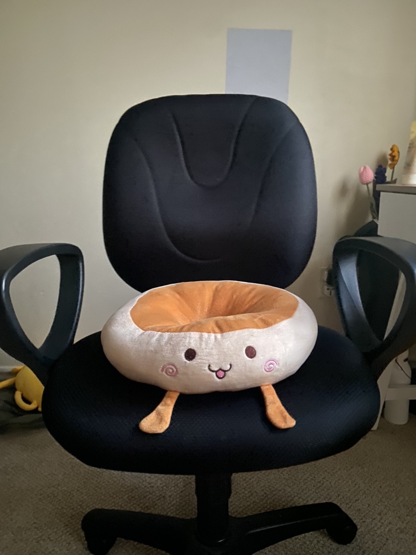 Cute Chair Cushion Back Support