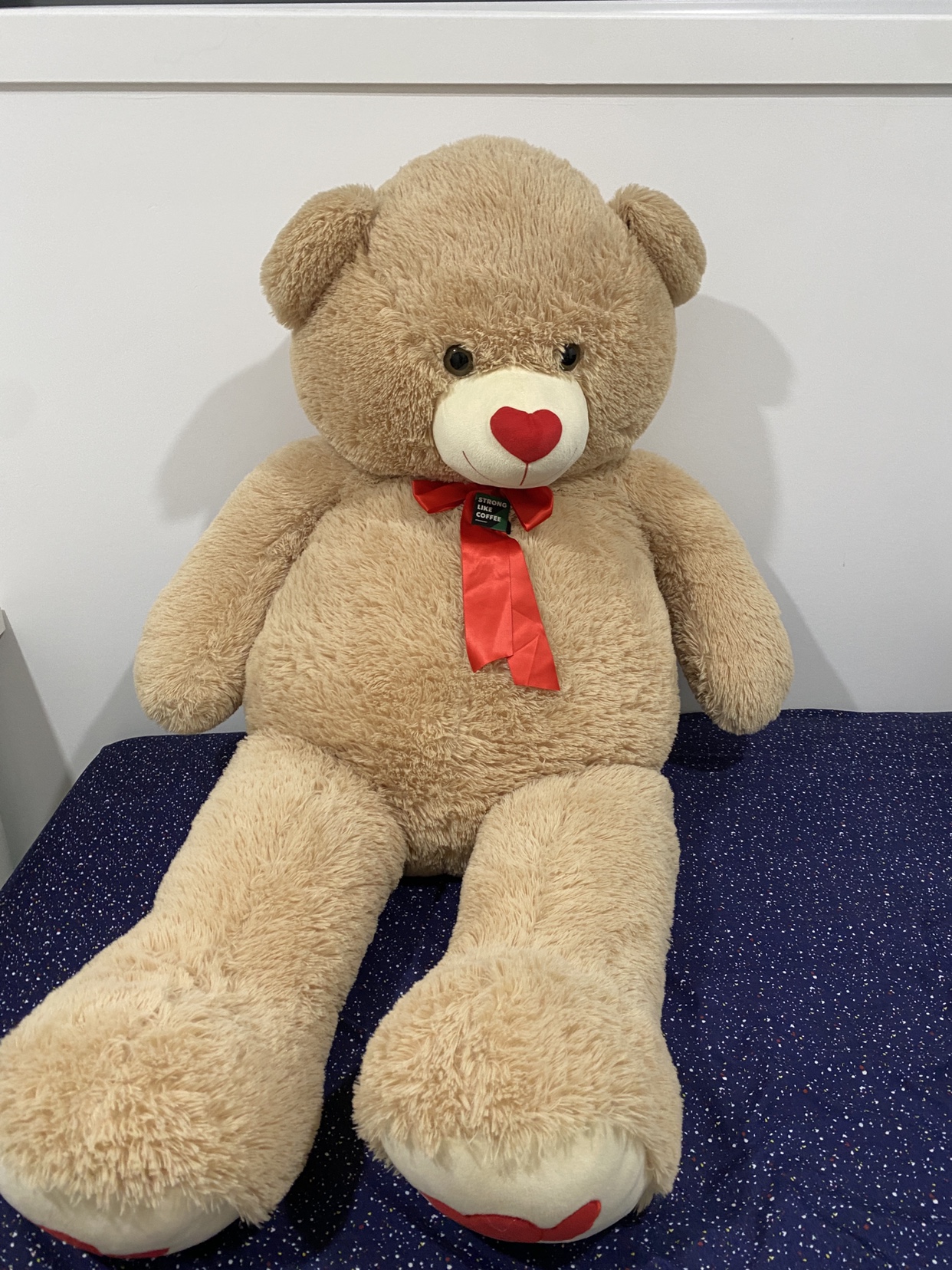 Giant Plush Teddy Bear