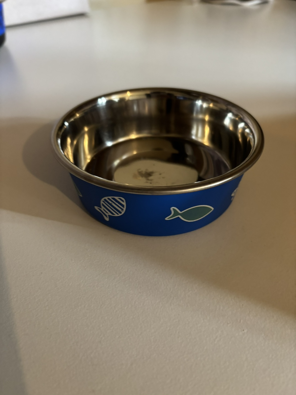 Pet Bowls - photo 3