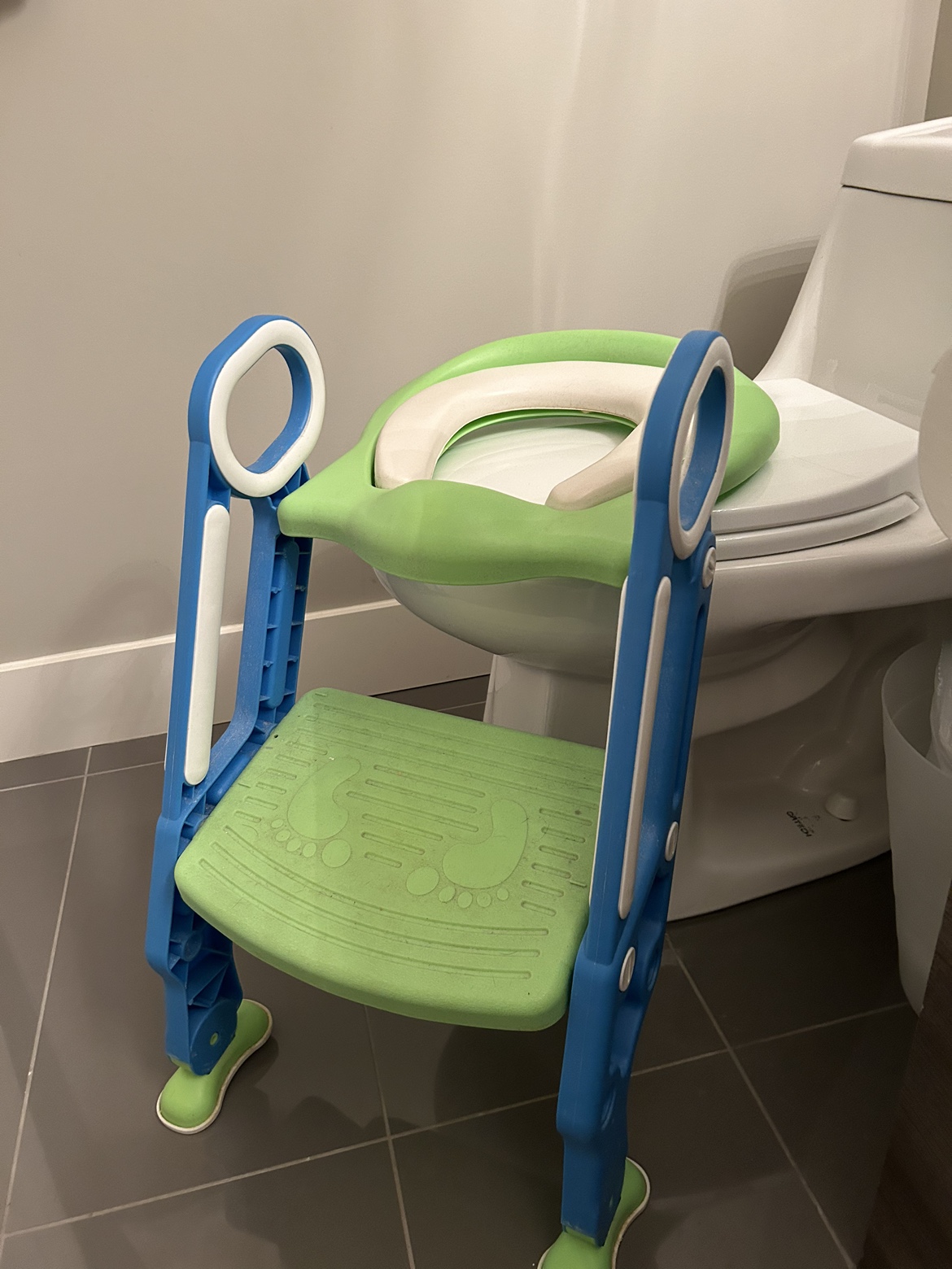 Toilet Training Seat and Step Stool - photo 3