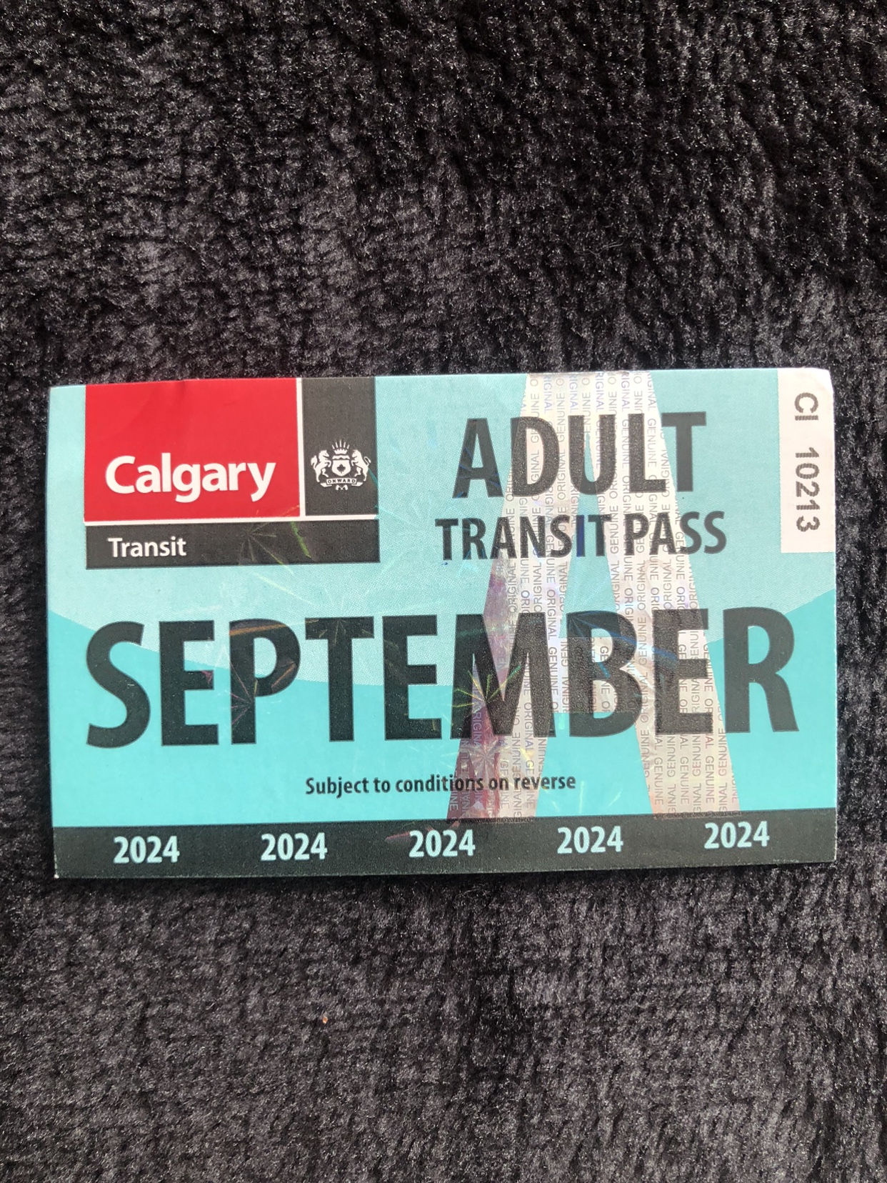 Calgary Transit Adult Pass
