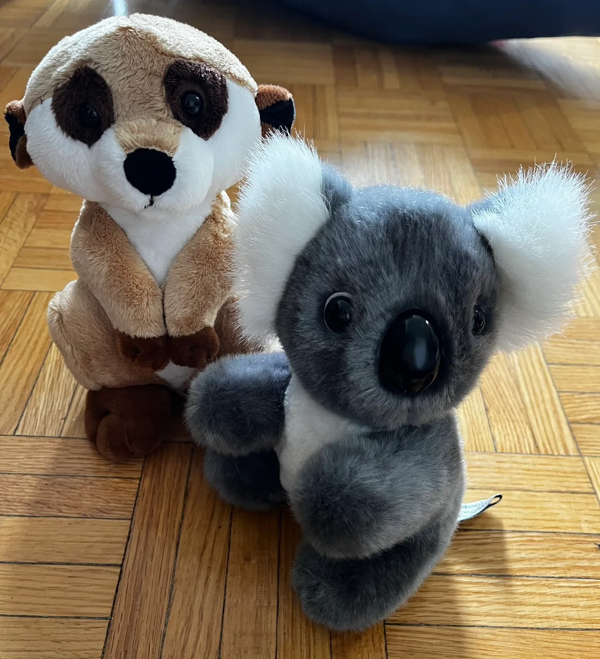 Free Plush Toys thumbnail