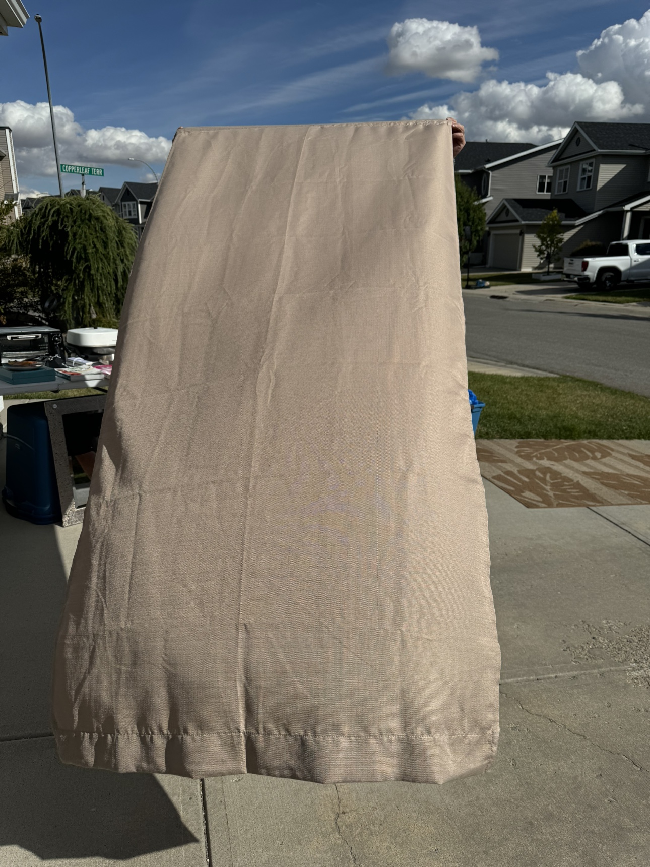 Beige Curtain Panel