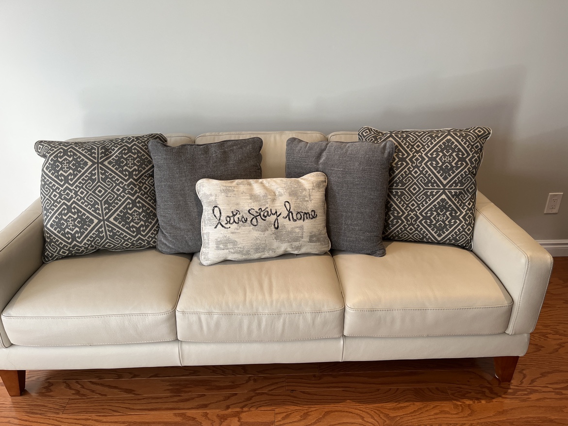 Cushions- brand new, never used