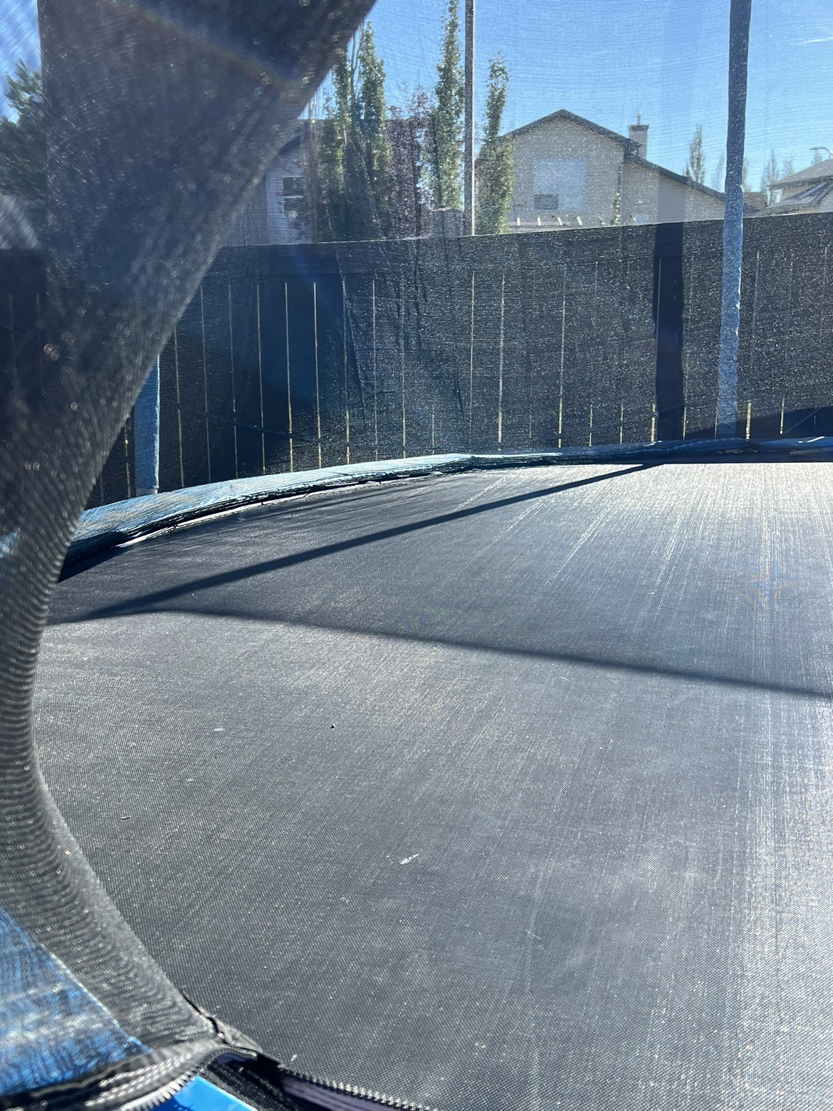 Trampoline - photo 5