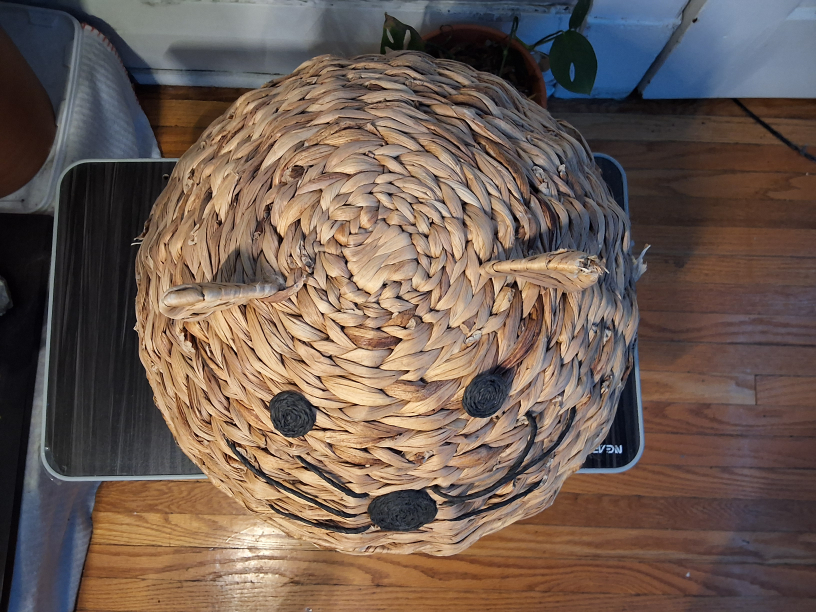 Cat Shaped Wicker Basket with Lid - photo 3