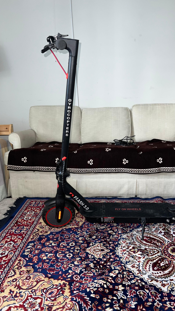 Gyrocopters Flash 3.0 Electric Scooter - photo 2