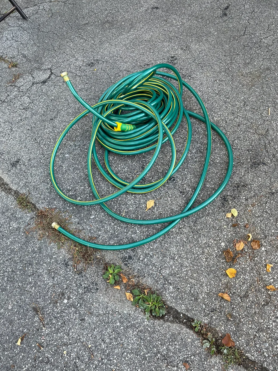 Vigoro Garden Hose thumbnail