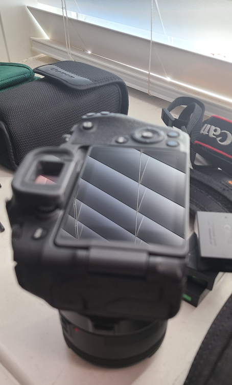 Canon EOS RP Bundle - photo 3