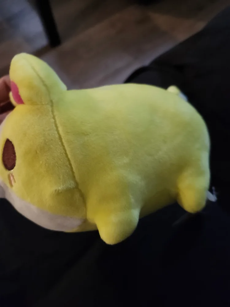 $10 tasty peach corgi plush (5") (NWT) image indicator(2)