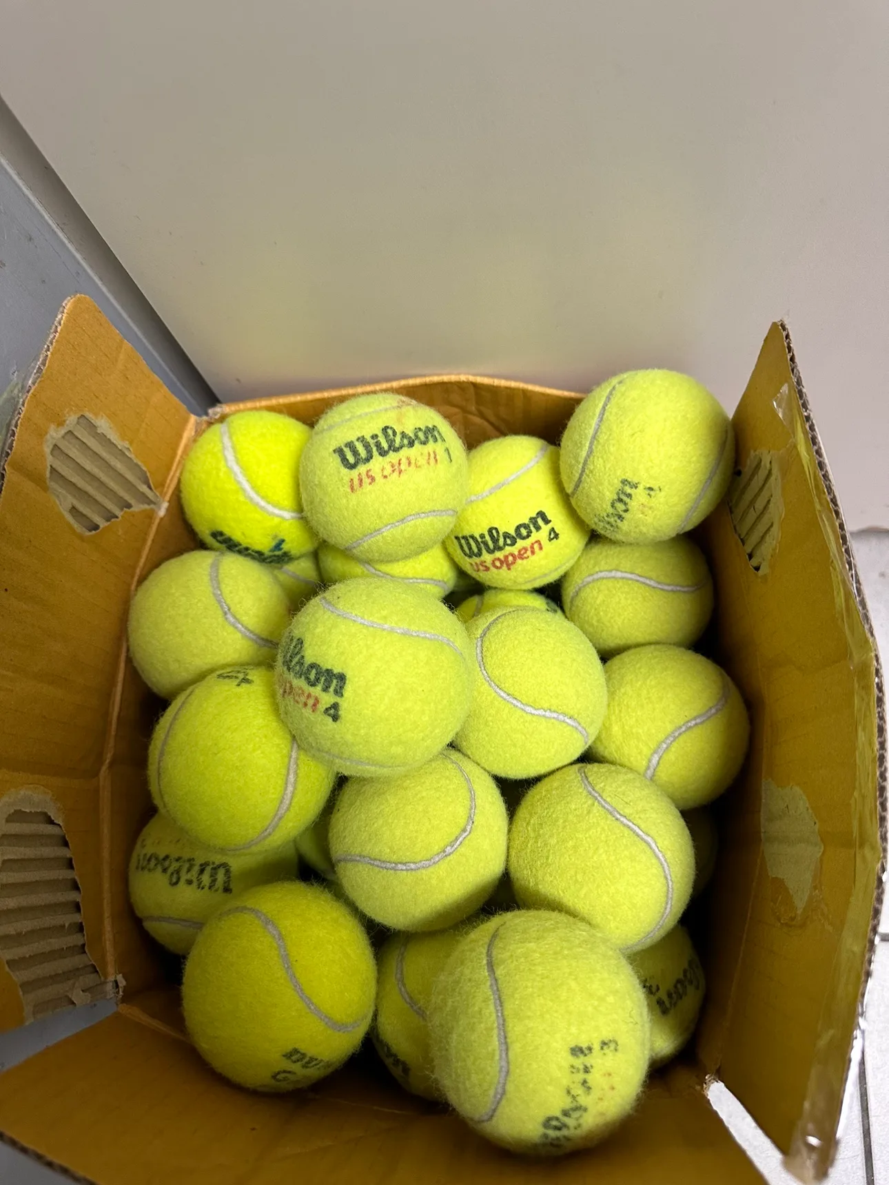 Wilson Tennis Balls - 24 Pack image indicator(3)