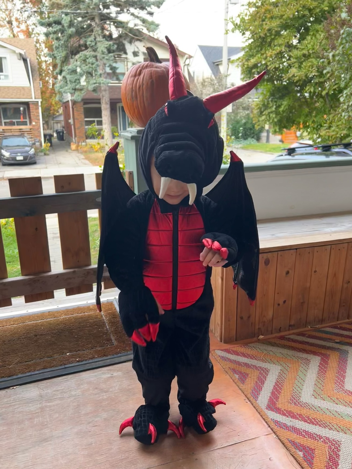 Dragon Halloween Costume