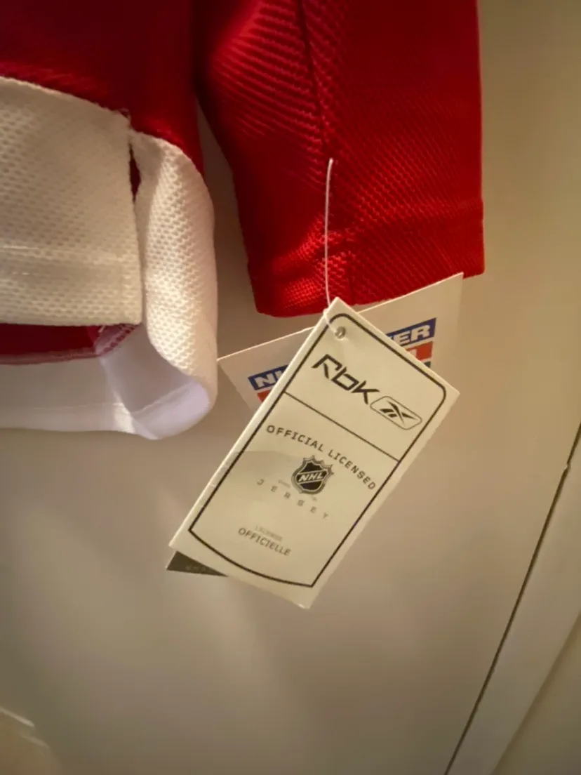 Reebok Detroit Red Wings #5 Lidstrom Jersey NEW WITH TAGS image indicator(4)