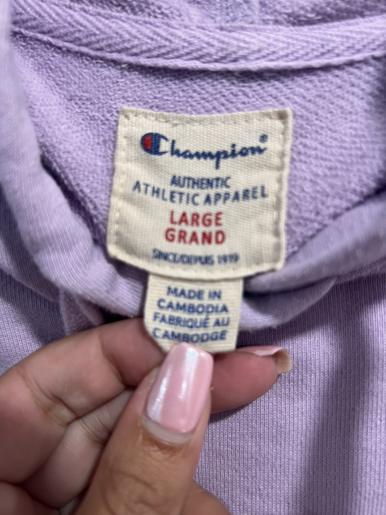Champion Lavender Hoodie - photo 3