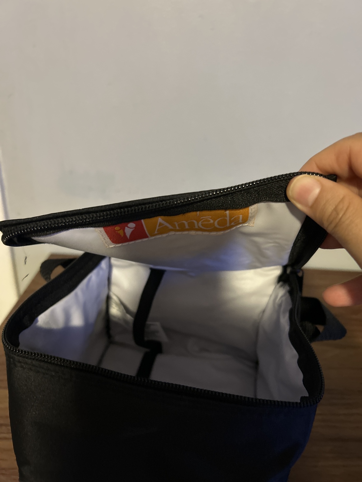 Ameda Cooler Bag #freecycle - photo 2