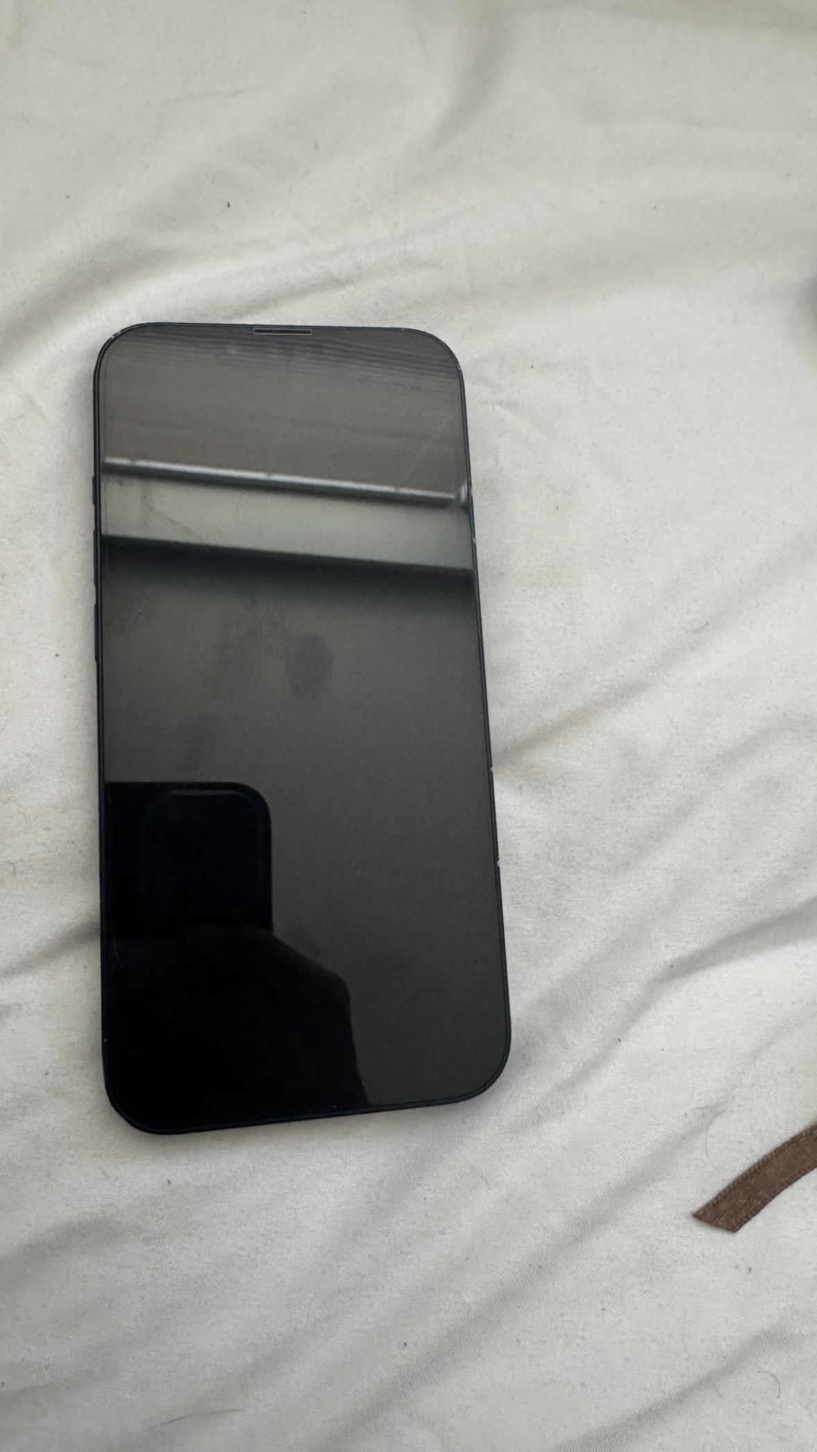 iPhone 13 Pro Max - photo 2