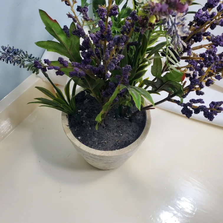 Fake flowers in pots image indicator(9)