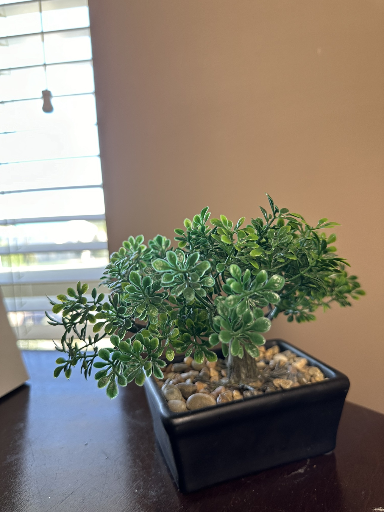 Moving sale: Artificial Bonsai Tree - photo 5