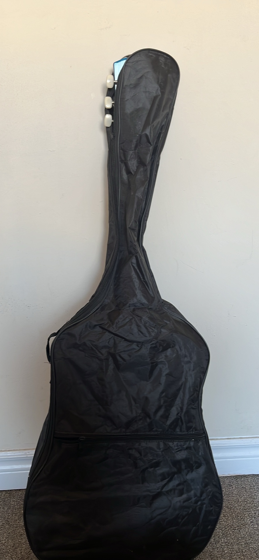 Jervis Acoustic Guitar with case - photo 3
