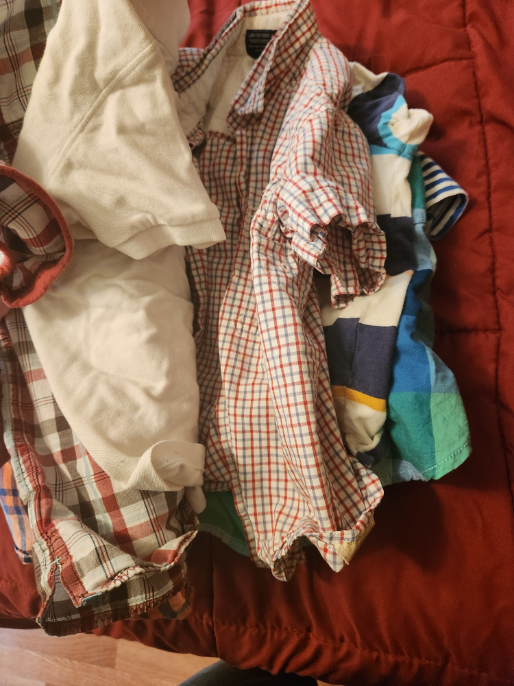 Boys Shirts Bundle #freecycle - photo 2