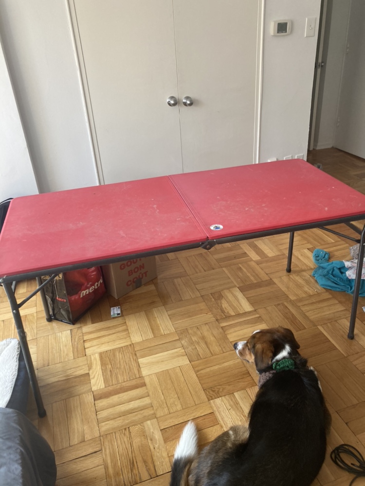 Folding Table from Canadian Tire