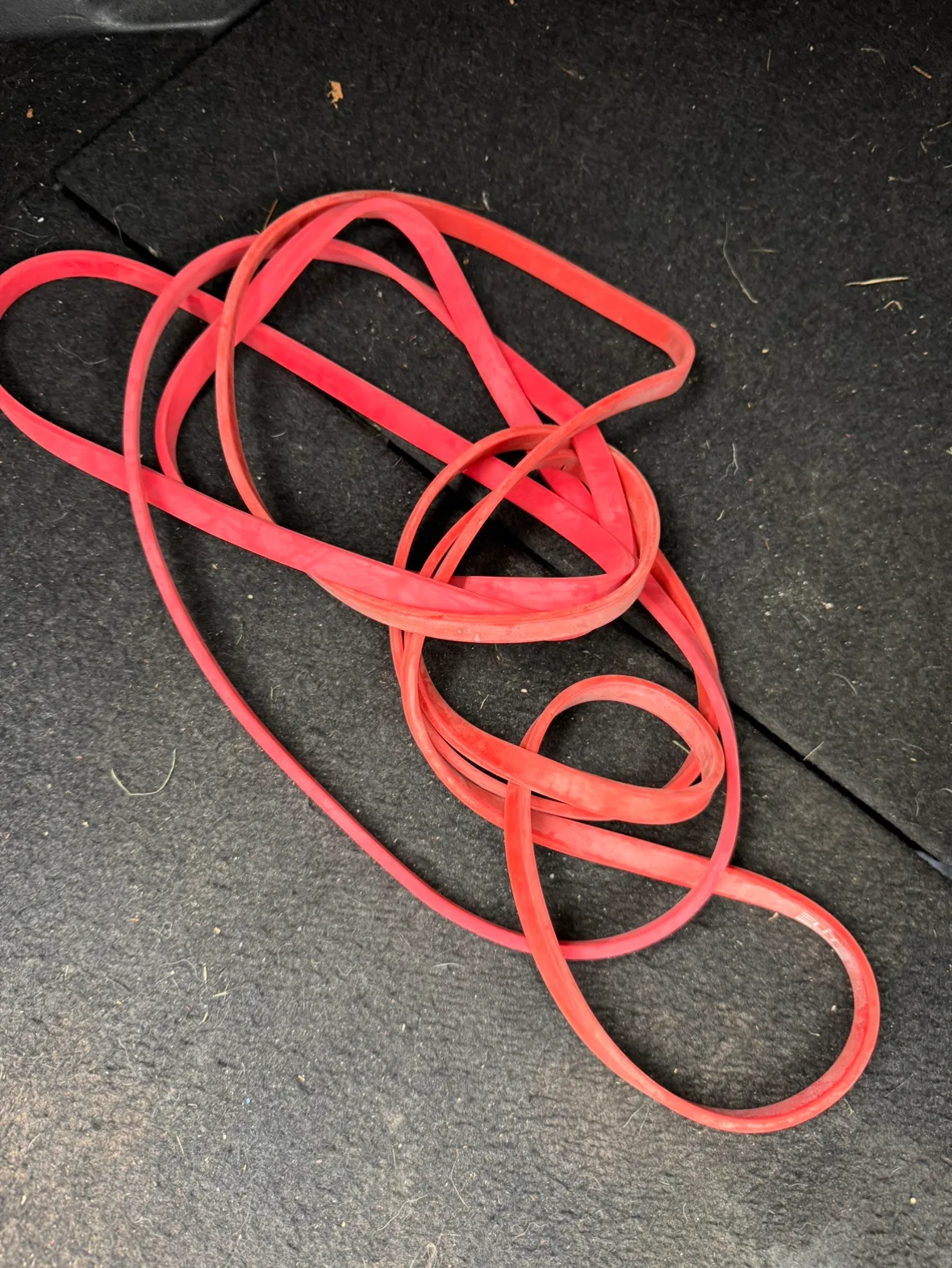 Red Exercise Band #freecycle thumbnail