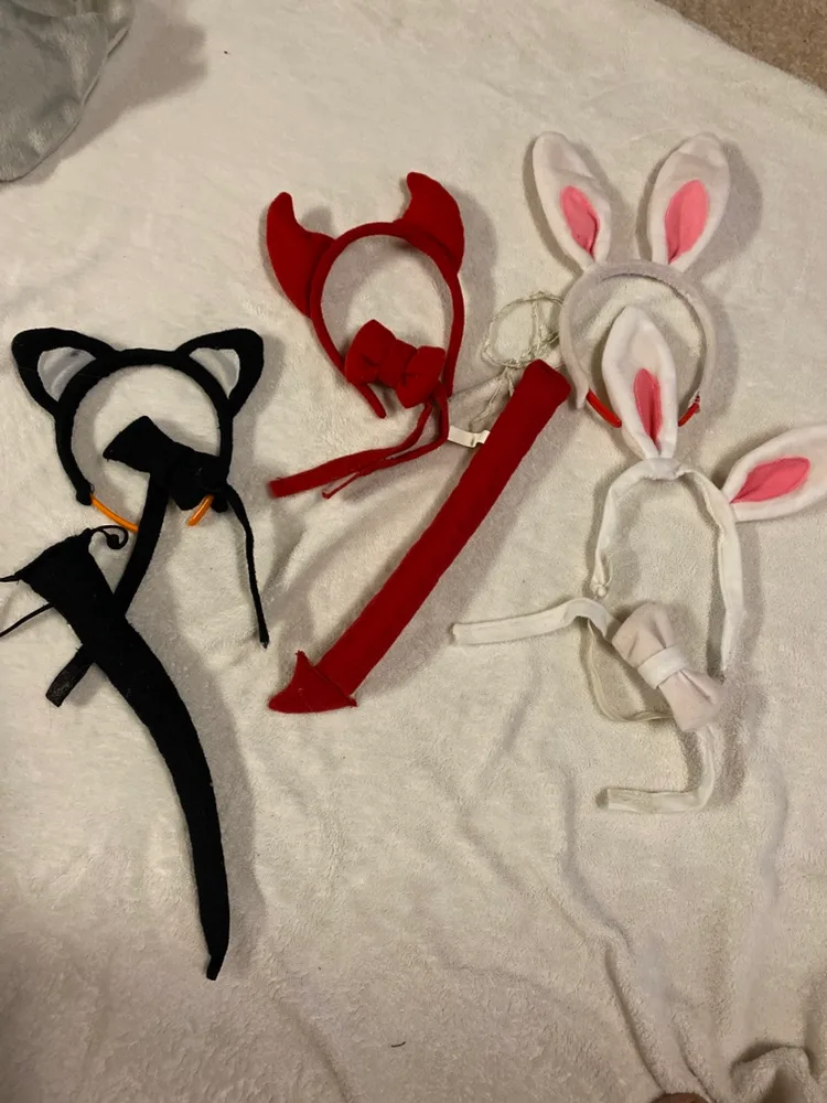 Costume Headbands and Tails #freecycle 🍂 thumbnail
