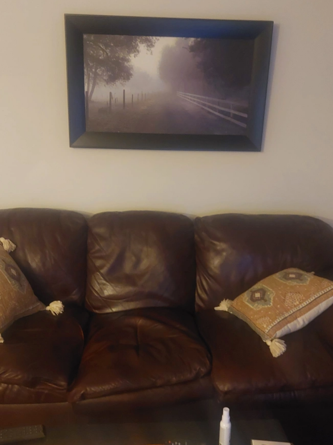 leather sofa