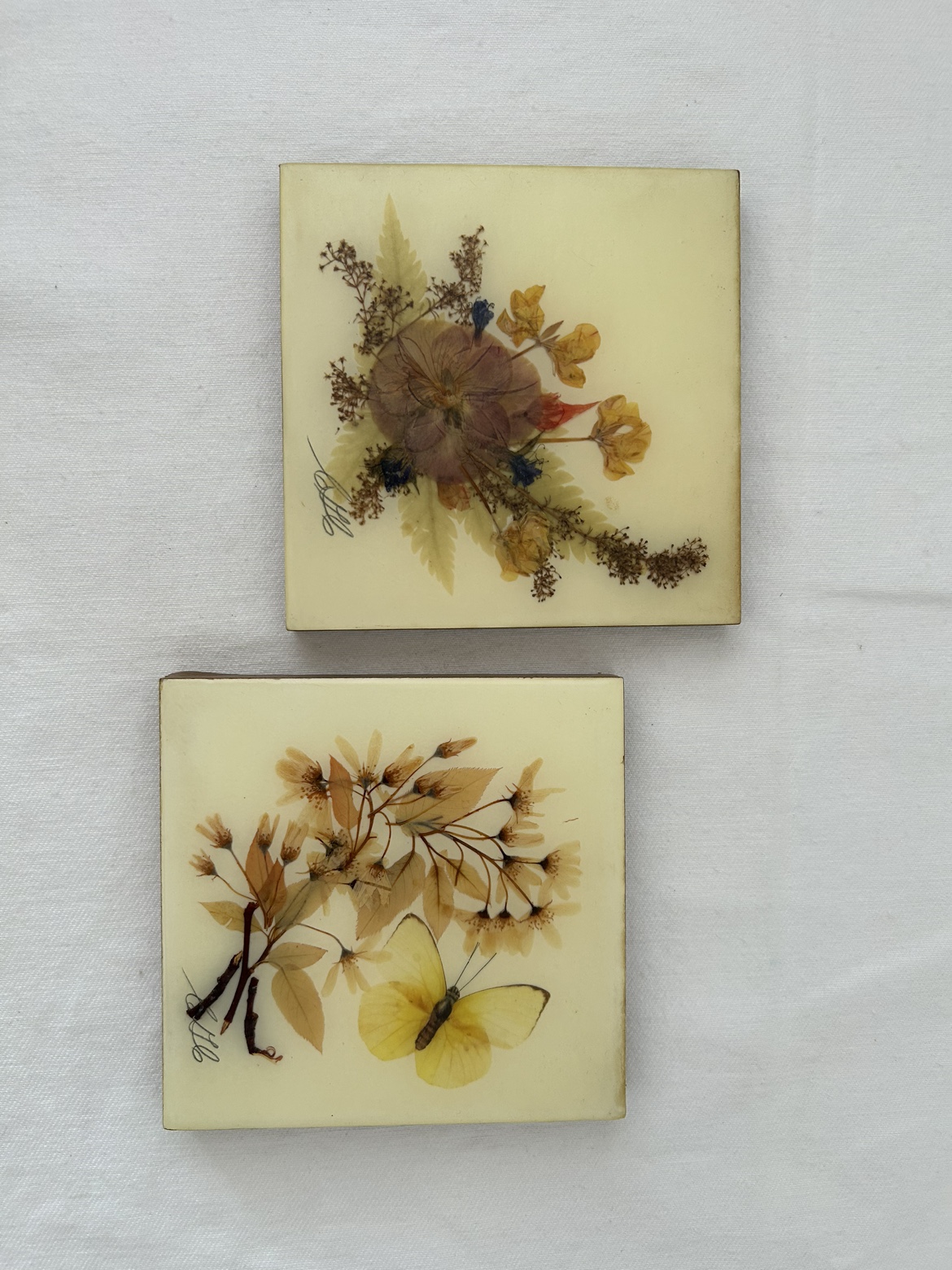Set of Two Pressed Flower Art #freecycle - photo 3