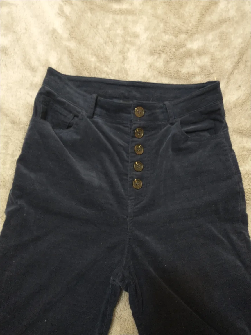 Forever 21 DARK BLUE CORDUROY PANTS STRAIGHT LEG,  BUTTON FLY image indicator(2)