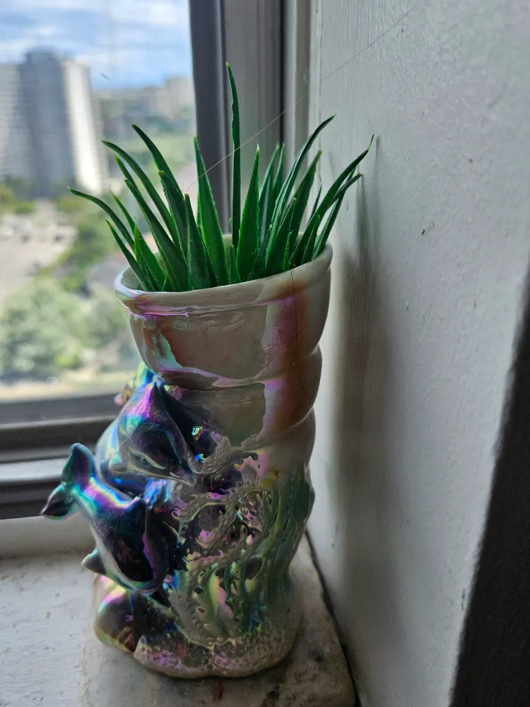 Dolphin Planter thumbnail