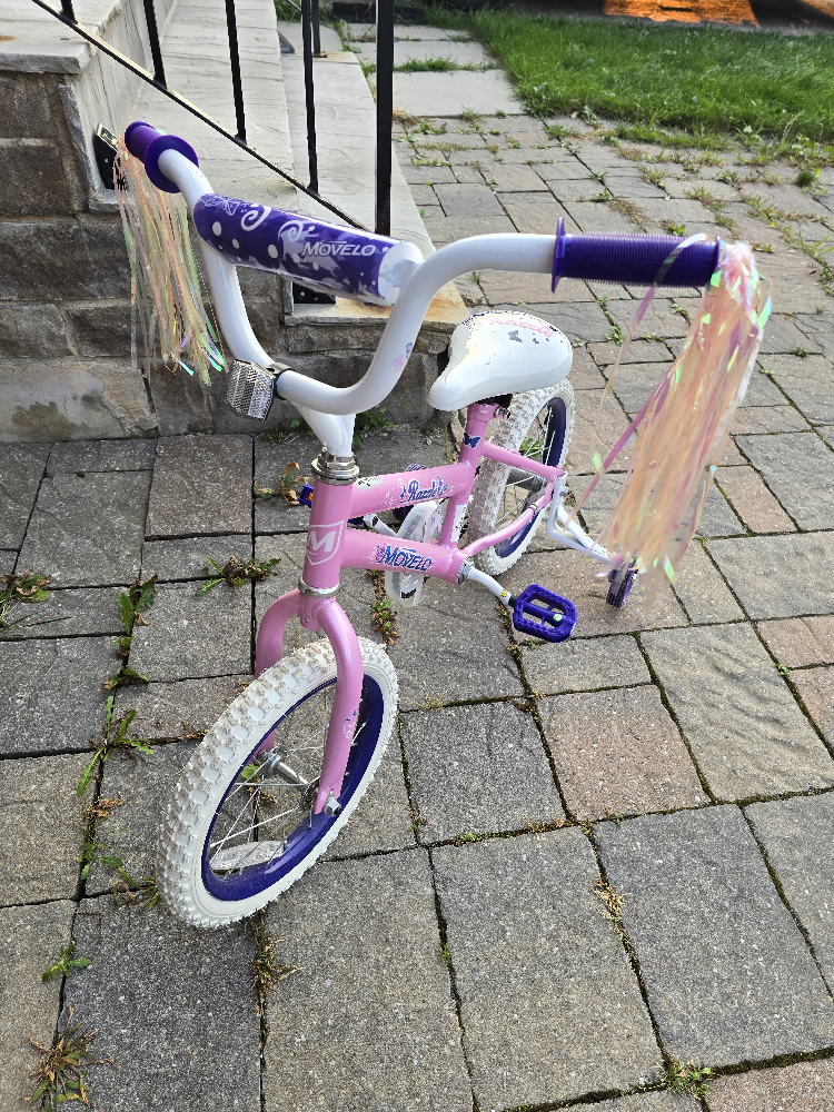14" Girls Bike with Training Wheels - photo 2
