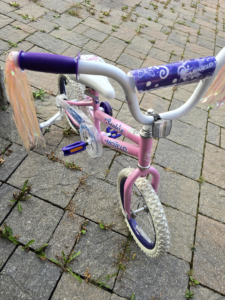 14" Girls Bike with Training Wheels - photo 3