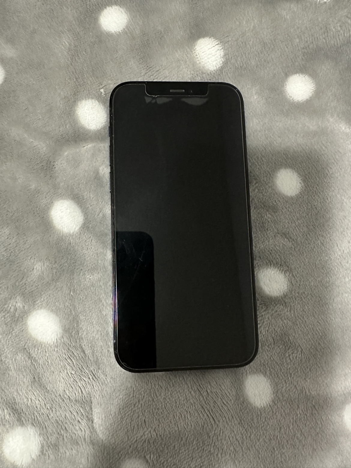 iPhone 12 Pro (Blue) 128 GB