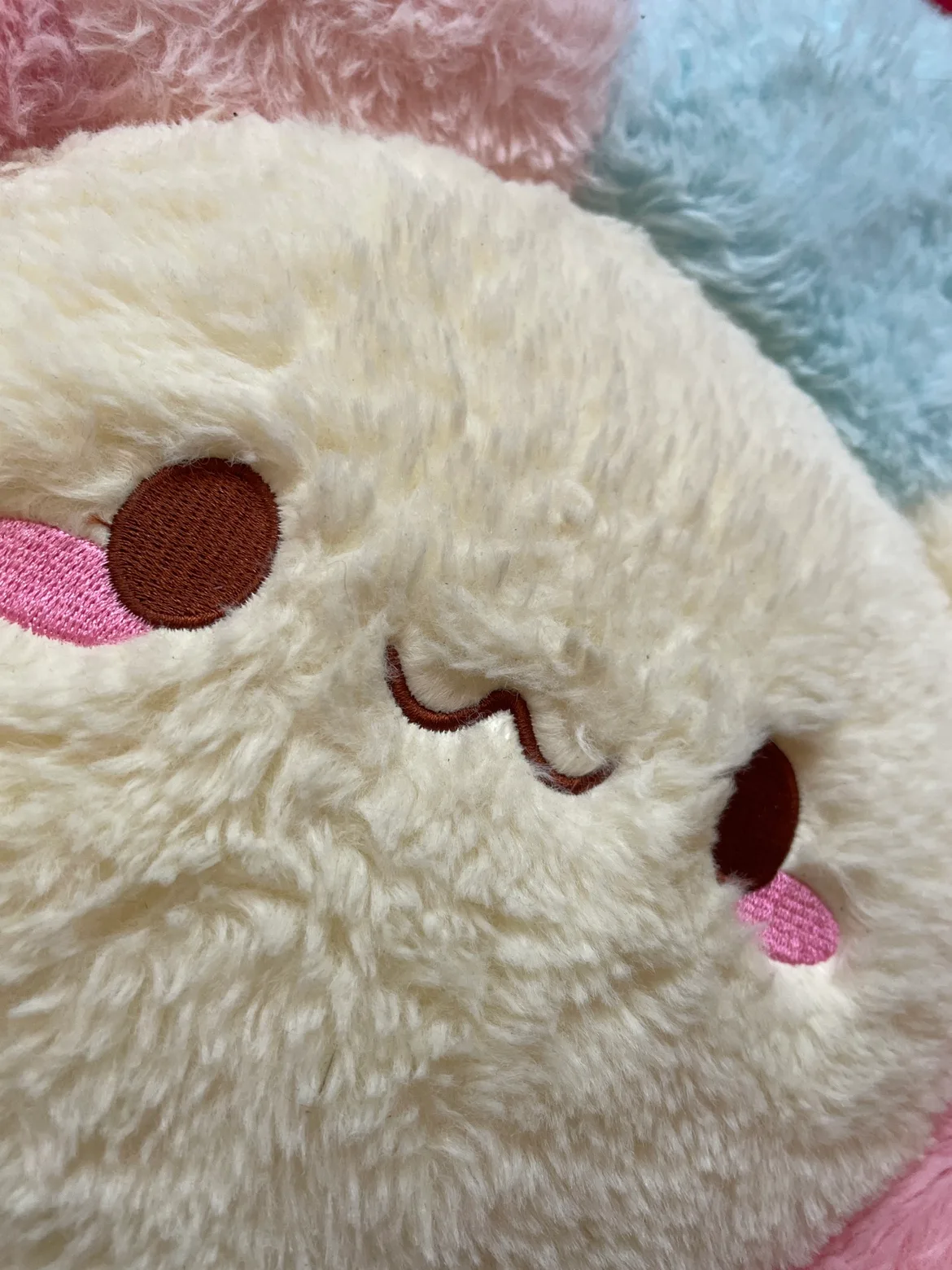 Pastel Flower Plush Pillow image indicator(3)