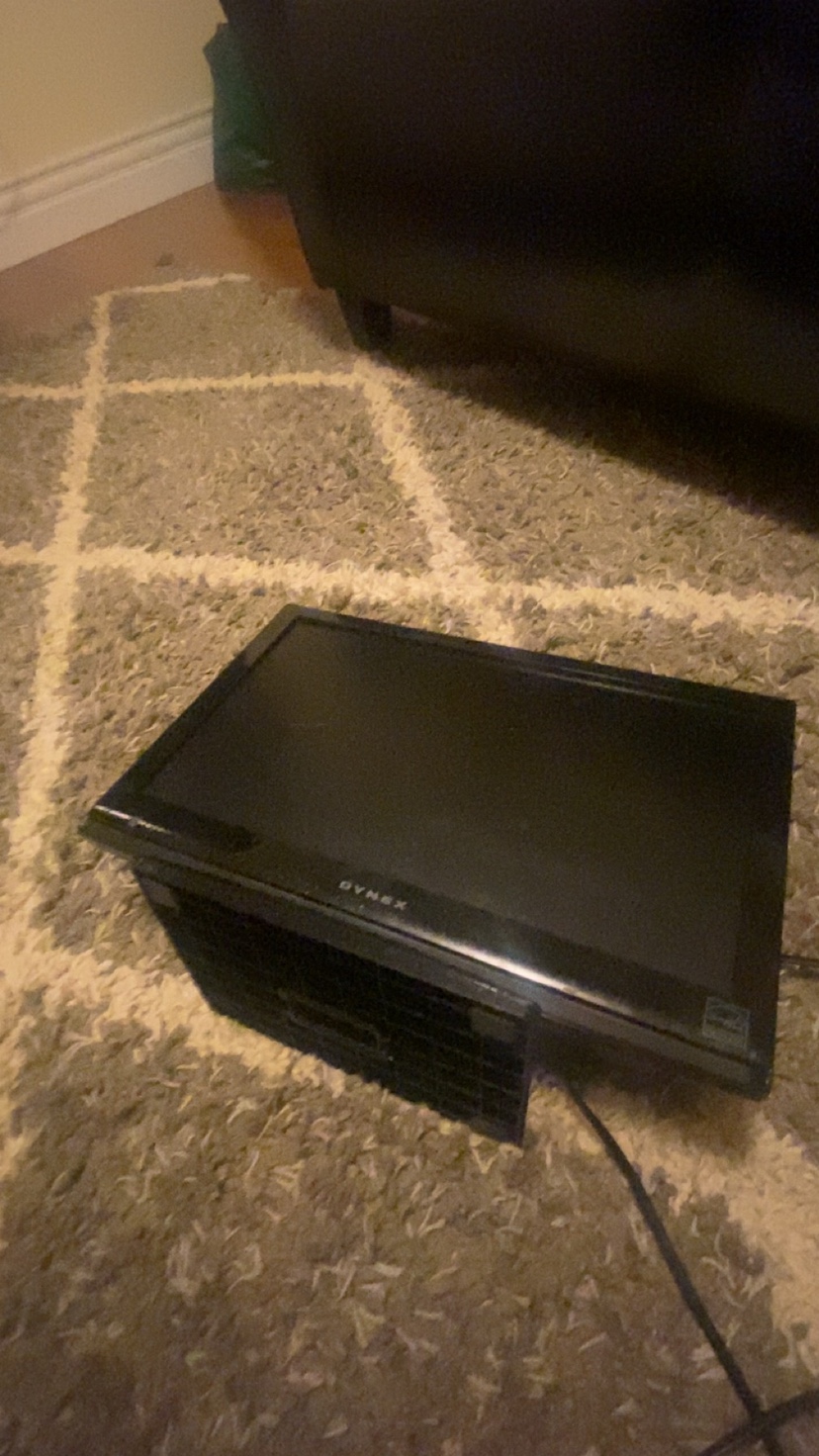 Dynex 19 inch LCD TV