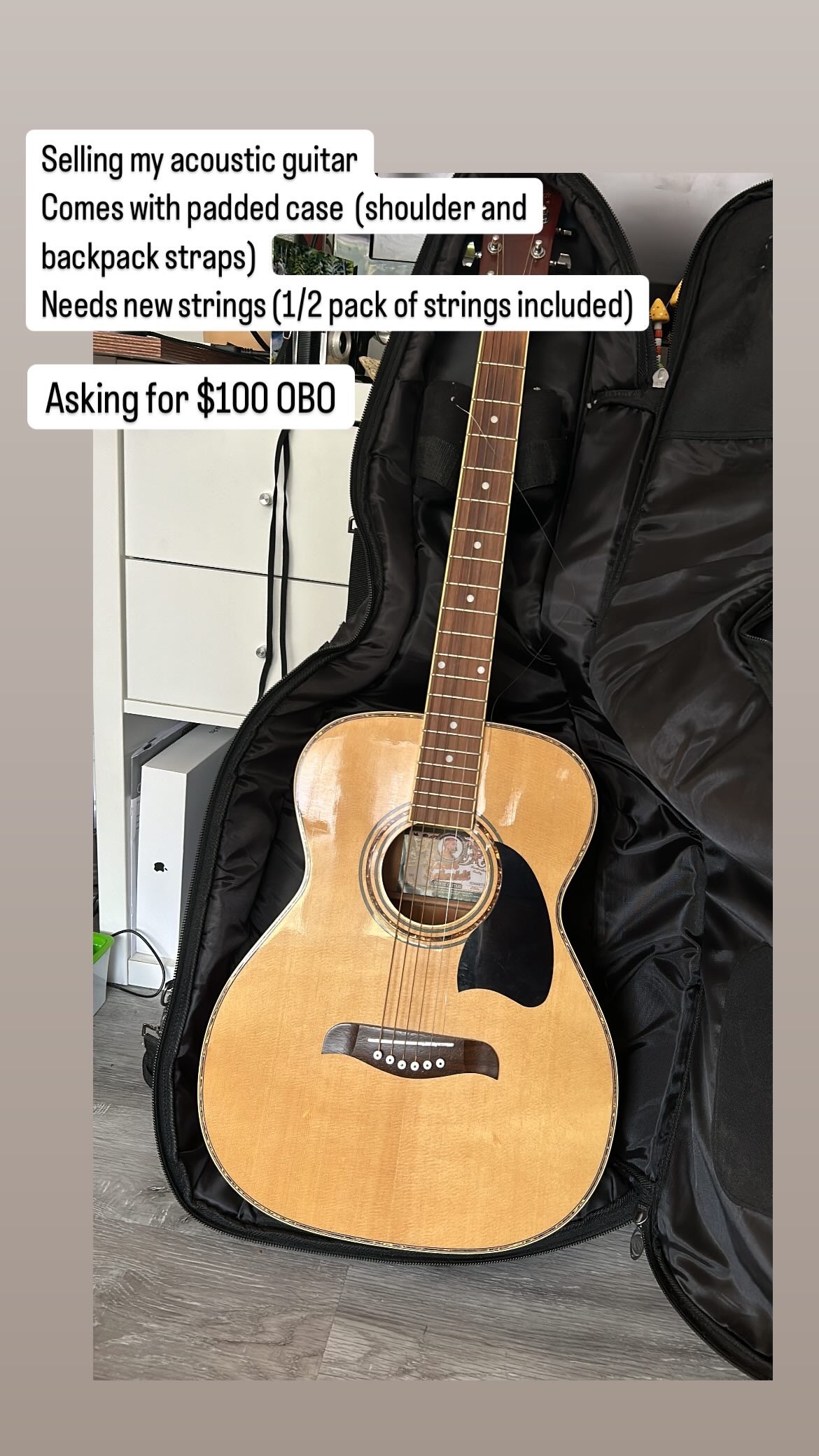 Acoustic Guitar with Case