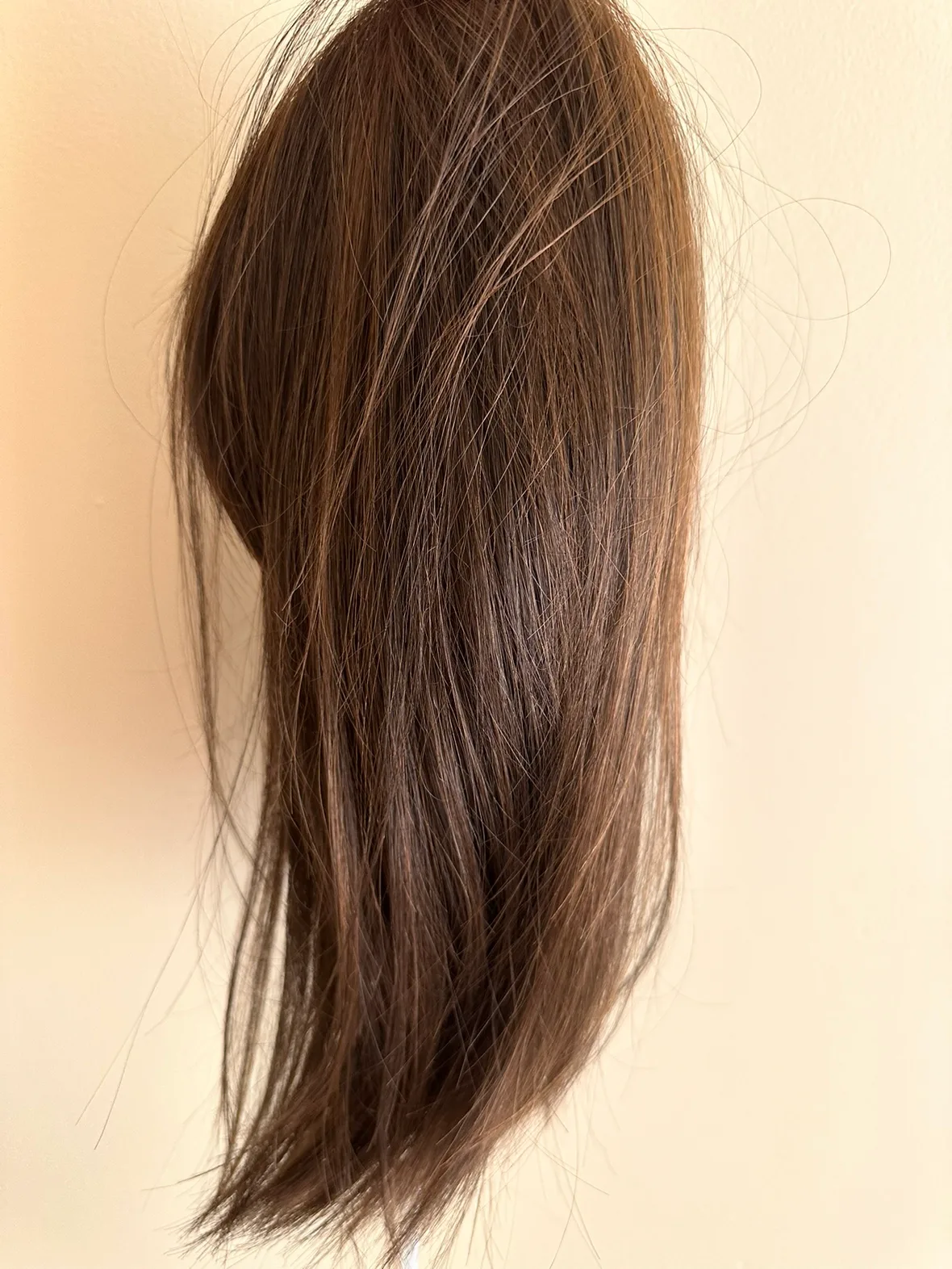 2 piecec Women's Wig Rene Of Paris image indicator(3)