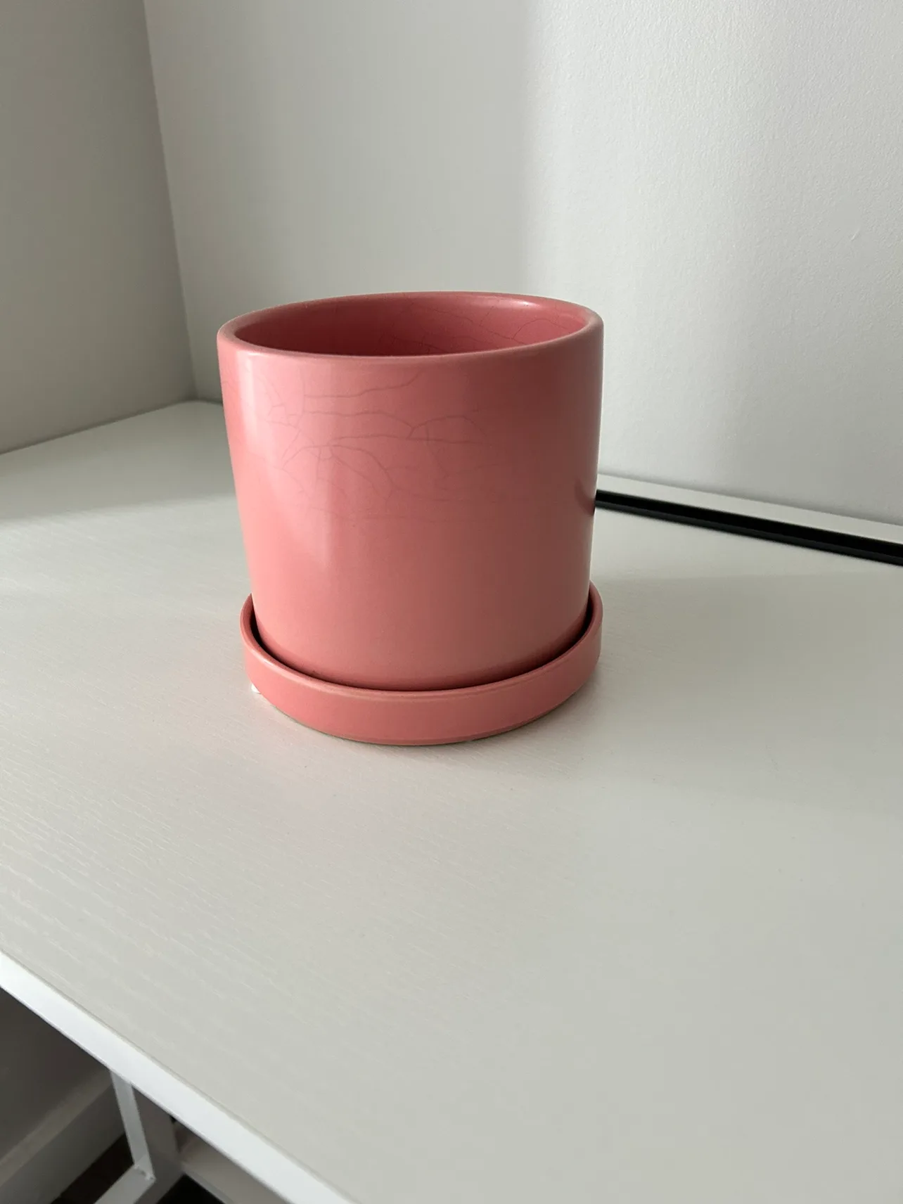 Plant pot thumbnail