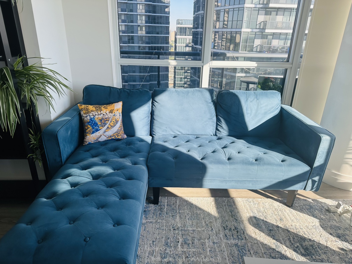 Blue Sectional Couch