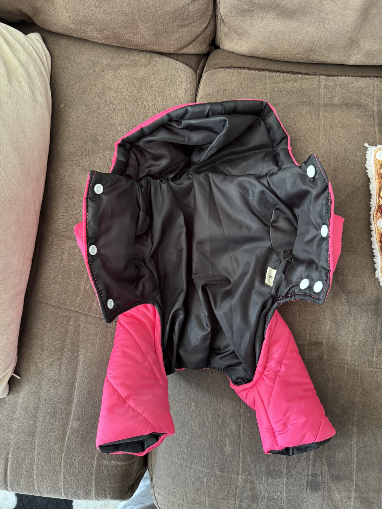 Dog Winter Clothes- suited for small female dog - photo 5