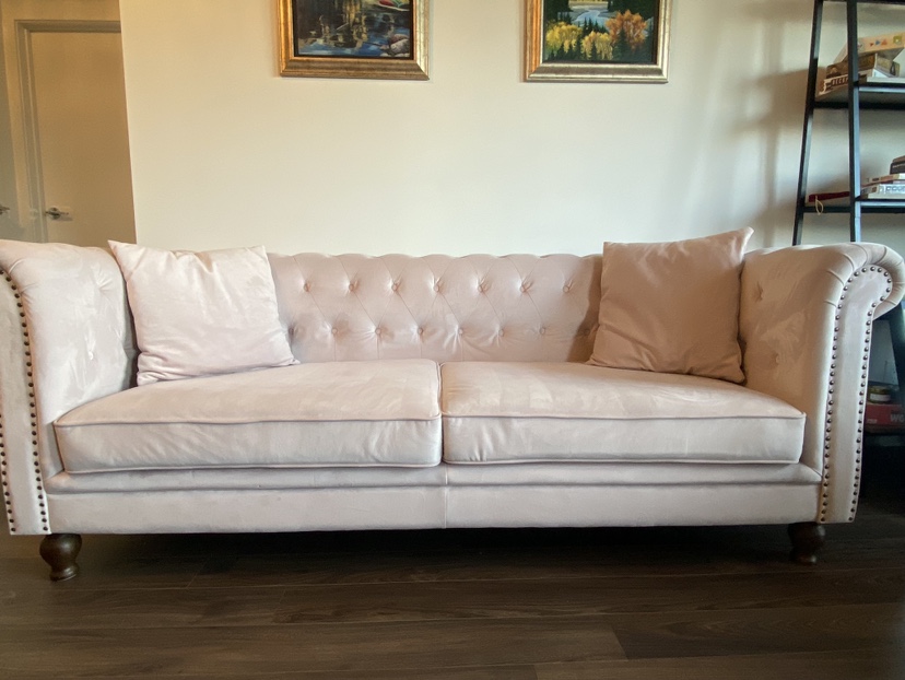 Pink Velvet Couch