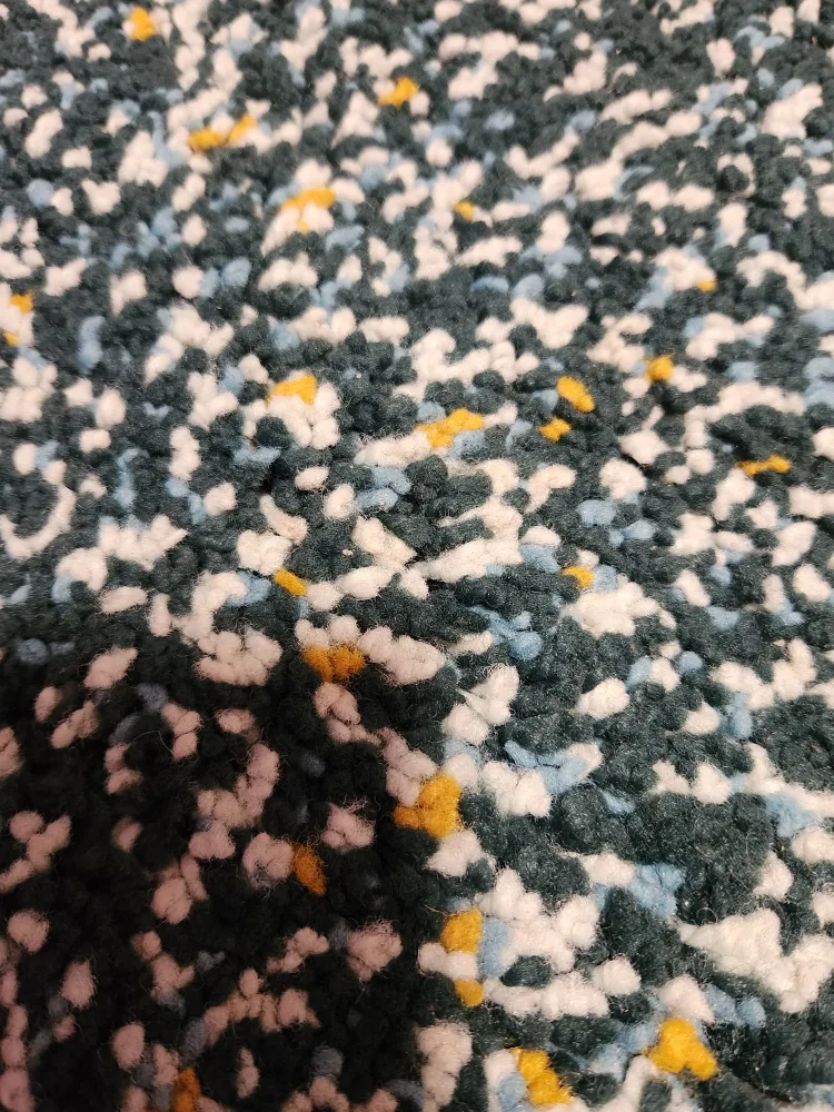 Area Rug. Pickup only! image indicator(2)